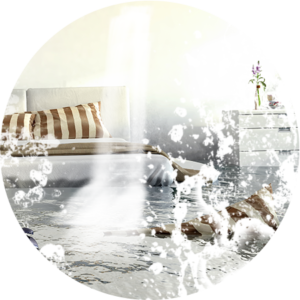 Royalty Water Damage Restoration in Vail